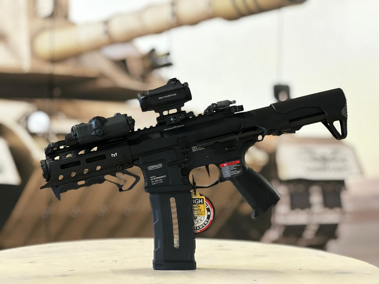 G&G ARP 556 SAEG Airsoft kompl. Set