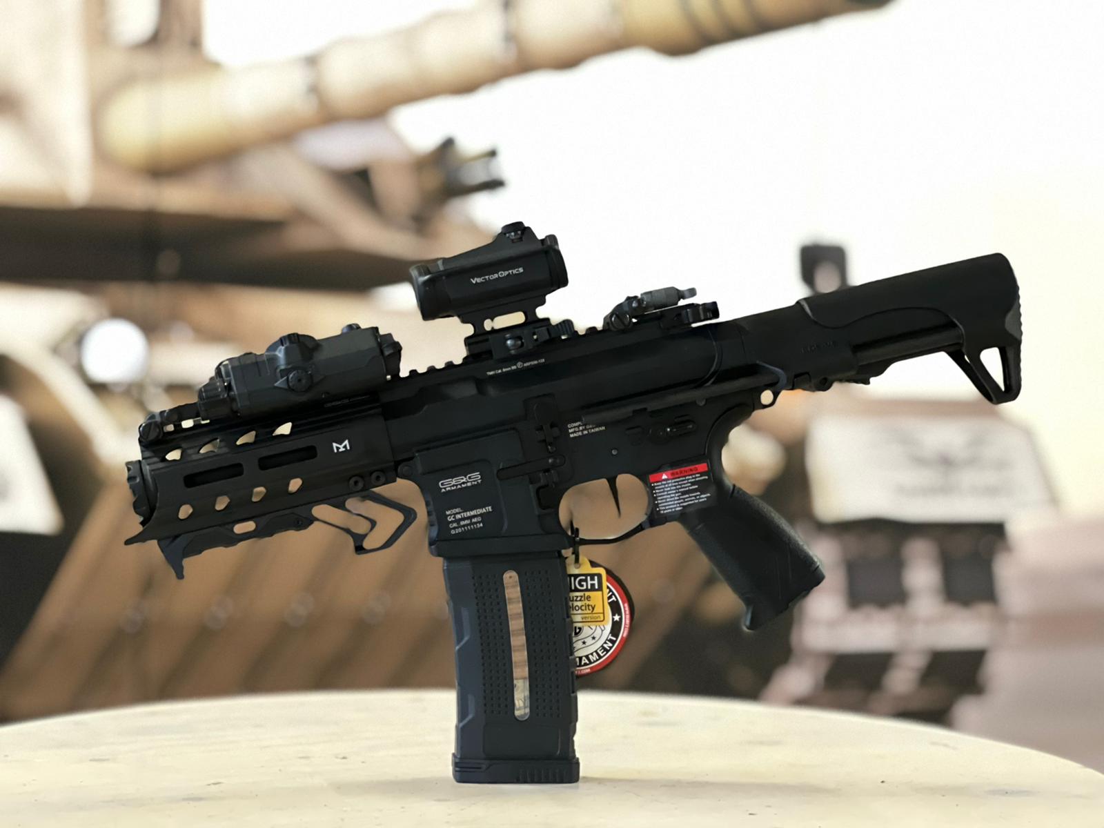 G&G ARP 556 SAEG Airsoft kompl. Set